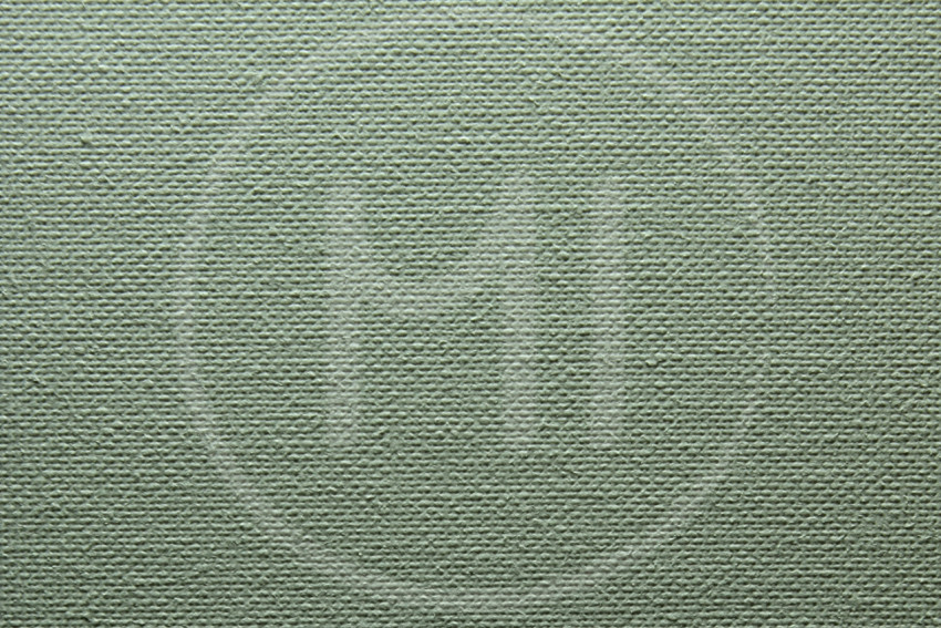 canvas 2
